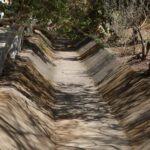La nociva fauna humana