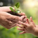 Es necesario crear conciencia para la protección del medio ambiente
