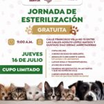 Impulsa Gobierno de Bahía de Banderas bienestar animal con jornada gratuita de esterilización en Jarretaderas
