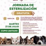 Bahía de Banderas anuncia jornada gratuita de esterilización canina y felina en Jarretaderas