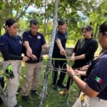 FORTALECEN EN BAHÍA DE BANDERAS CAPACITACIÓN PARA EL MANEJO RESPONSABLE DE FAUNA SILVESTRE