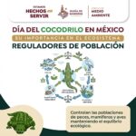 Bahía de Banderas llama a proteger al cocodrilo y su hábitat natural