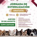 Refuerza Bahía de Banderas el bienestar animal con Jornada de Esterilización Gratuita en La Cruz de Huanacaxtle