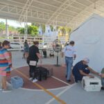 Bucerías se suma al cuidado responsable de las mascotas con gran jornada de esterilización gratuita